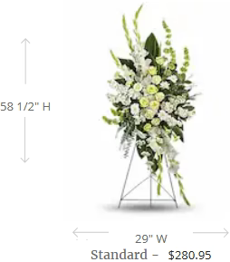 Magnificent Life Spray