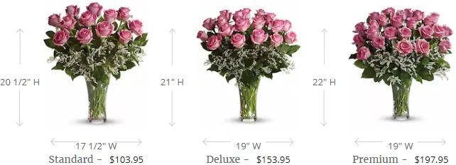 Make Me Blush - Dozen Long Stemmed Pink Roses