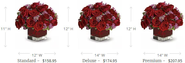 Never Let Go by Teleflora - 18 Red Roses