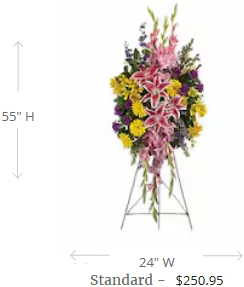 Rainbow Of Remembrance Spray