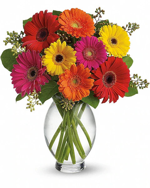 Bouquet of colorful gerbera daisies