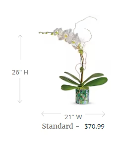 Teleflora's Stained Glass Orchid