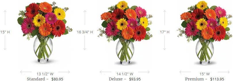 Teleflora's Gerbera Brights
