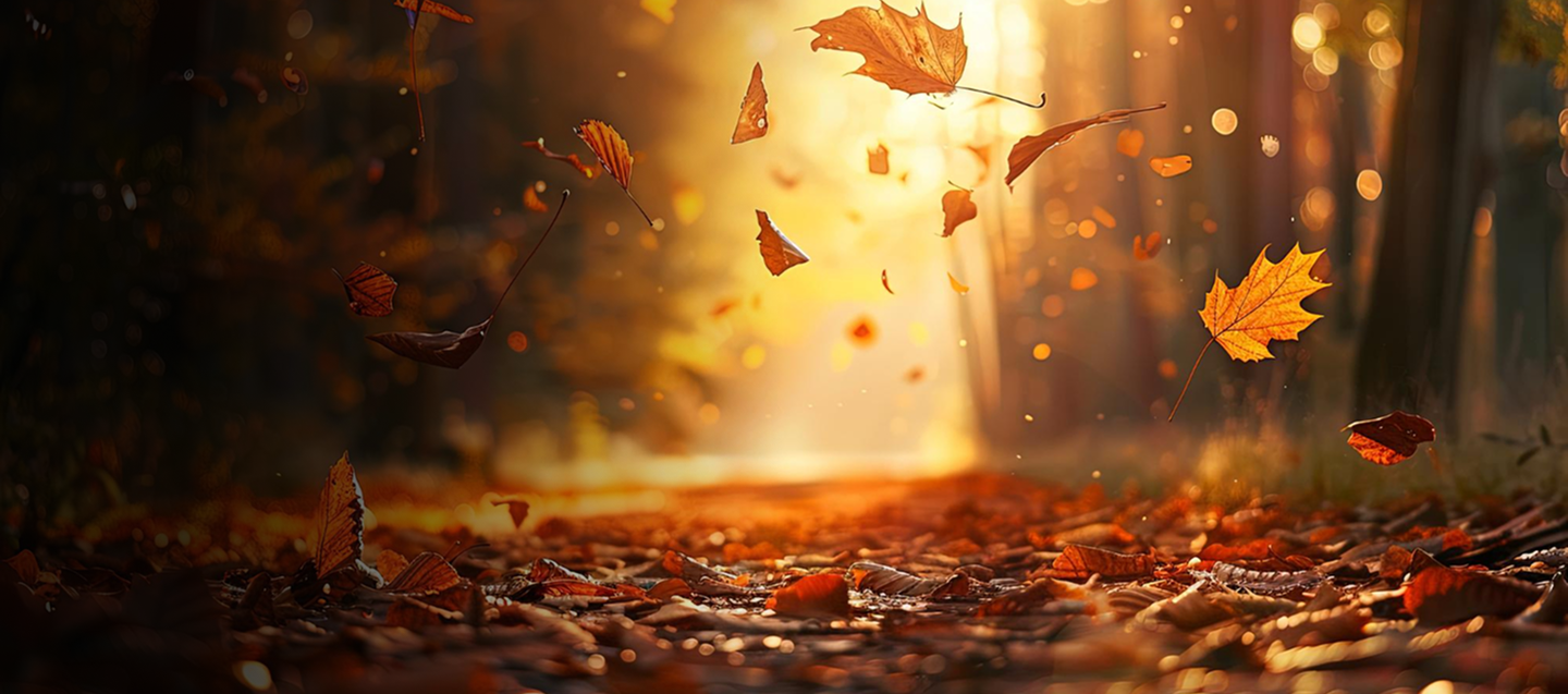 Autumn scene with falling leaves and a warm light in the background