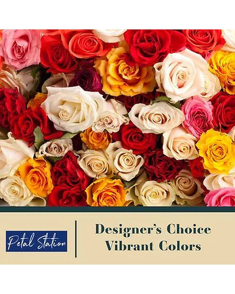 Designer Choice - Vibrant Color