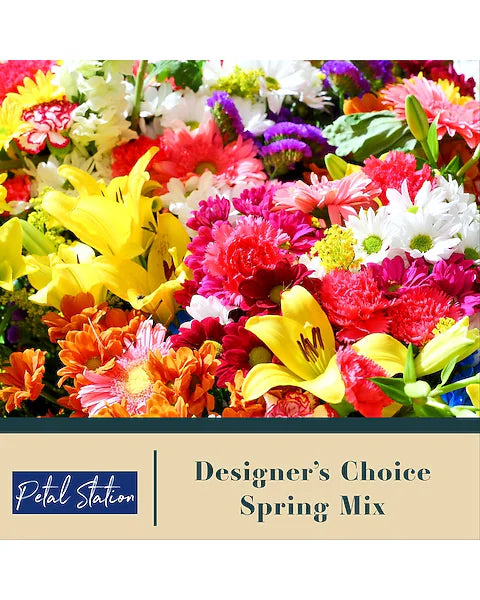 Designer Choice - Spring Mix