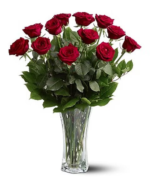 A Dozen Premium Red Roses